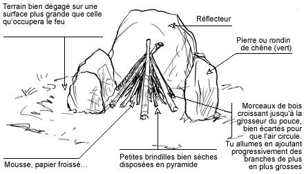 Quels bois pour le feu ?